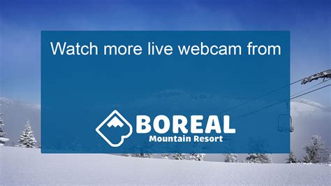 boreal webcams